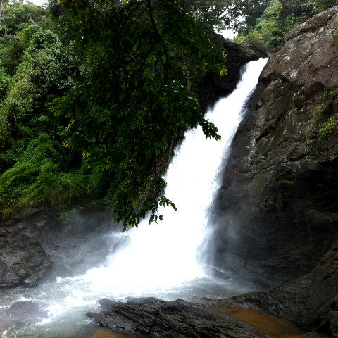 Wayanad